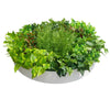 Artificial Green Wall Disc Art 80cm Mixed Fern (Fresh White)