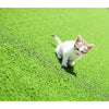 Synthetic Artificial Grass Turf 5 sqm Roll - 20mm