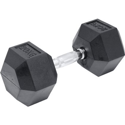 20KG Commercial Rubber Hex Dumbbell Gym Weight