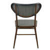 Sammy Modern Retro Brown Outdoor Dining Chair Set of 2