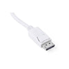 UGREEN DisplayPort Male to HDMI Female Converter (20411)