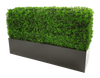 Black Metal Planter Medium